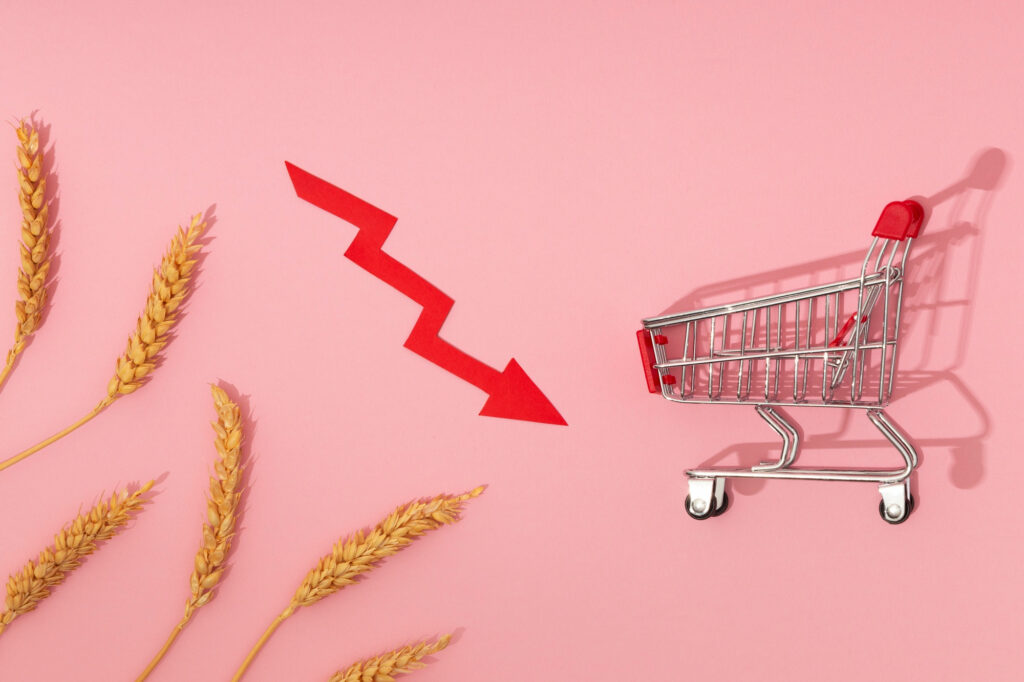 Puterea de cumpărare a populației s-a deteriorat semnificativ pe parcursul anului trecut. Consumul intern a intrat în contracție începând cu luna august 2025