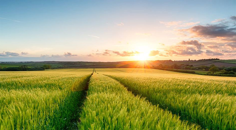 Fermierii români au vândut tot mai multe terenuri. Tranzacțiile au crescut semnificativ în ultima lună