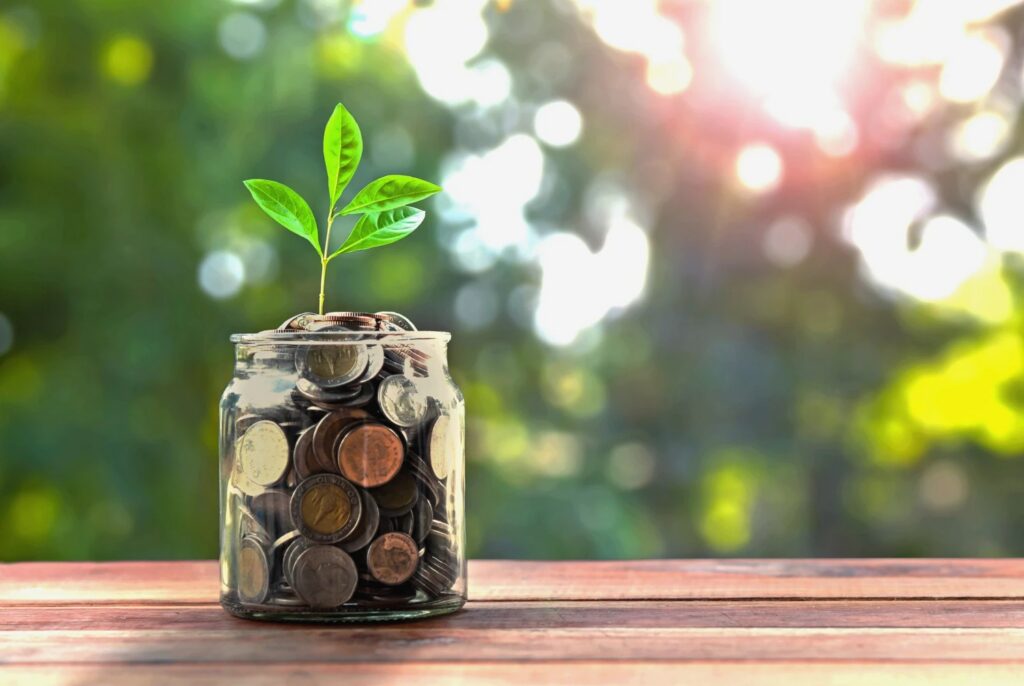 La educație financiară, România este pe locul 35 din 40 de țări analizate. Polonia are un model mai integrat