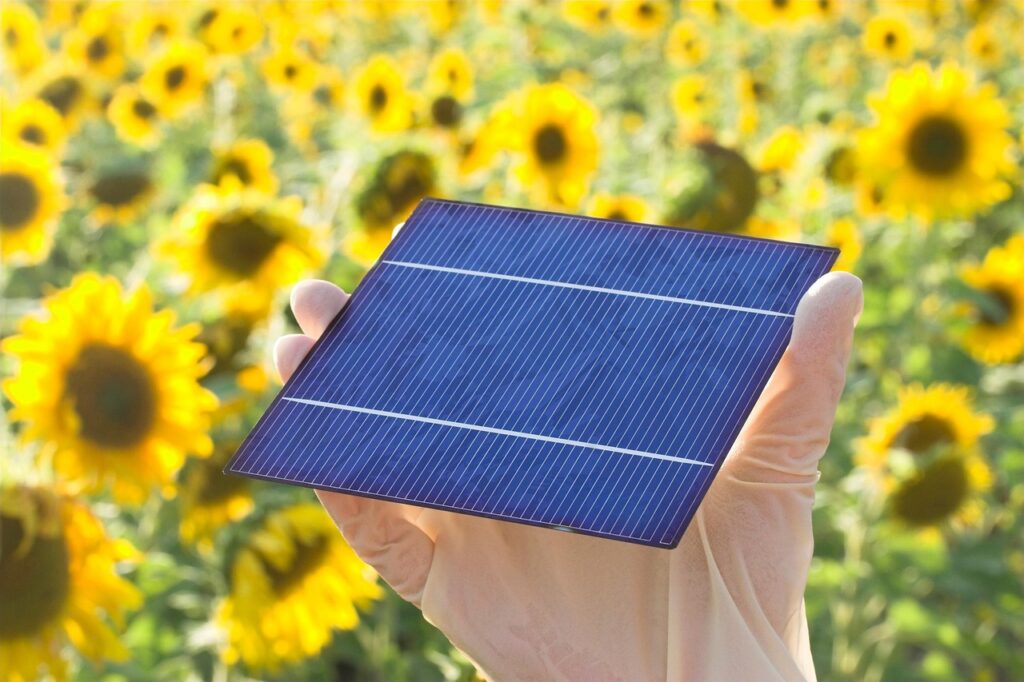 Cooperativele agricole vor să-și producă singure energia. 77 de structuri se pregătesc să devină „comunități energetice”