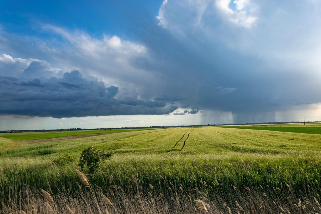 Agricultura românească câștigă teren. Suprafața cultivată a crescut cu 40.000 de hectare